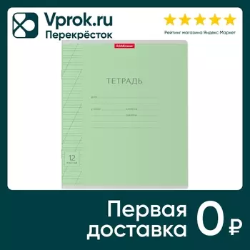 Набор тетрадей ErichKrause Классика Visio зеленая косая линейка 12л 10шт