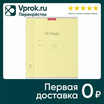 Набор тетрадей ErichKrause Классика Visio желтая клетка 12л 10шт