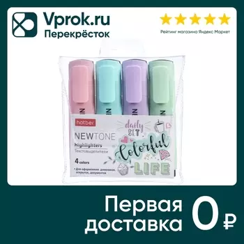 Набор текстовыделителей Hatber Newtone pastel 4 цвета