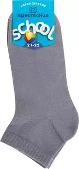 Носки детские Брестские School р.21-22