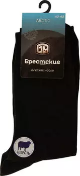Носки мужские Брестские Arctic 15С2433 черные р.42-43