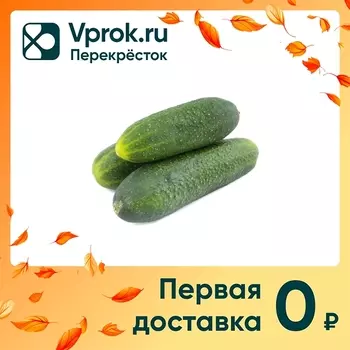 Огурцы Луховицкие хрустящие короткоплодные 1кг