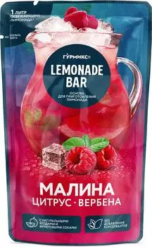 Основа для лимонада Гурмикс Малина 150г
