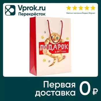 Пакет подарочный ГК Горчаков ML Подарок для тебя! Котик