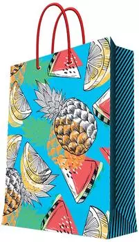 Пакет подарочный Magic Pack 17.8*22.9*9.8см