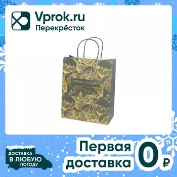 Пакет подарочный Magic Pack 26*32.4*12.7смс доставкой!