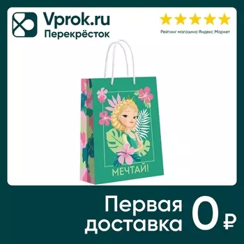 Пакет подарочный ND Play Царевны 2D зеленый 25*35*10см в ассортименте