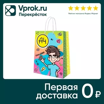 Пакет подарочный ND Play Влад А4 большой голубой с розовым 25*35*10см в ассортименте