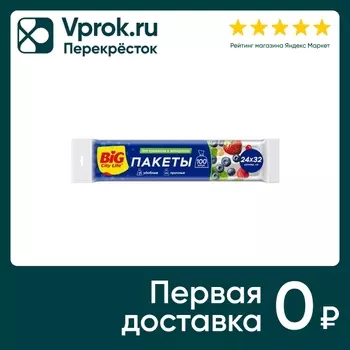 Пакеты для хранения Big City Life 24*32см 100шт