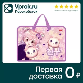 Папка для тетрадей Hatber Аниме с котиком на молнии А4 24.5*34*3.5см