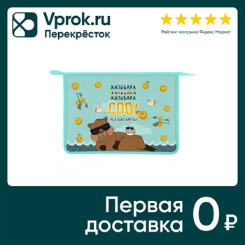 Папка для тетрадей Hatber Реально крутой Капибара на молнии А4 24.5*34*4см