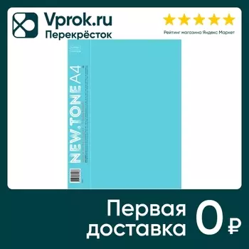Папка Hatber Premium Newtone Pastel на 2-х кольцах А4 незабудка