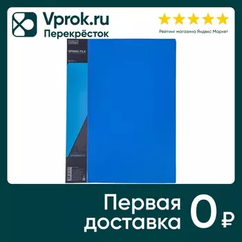 Папка Hatber Standard А4 с пружинным скоросшивателем синяя