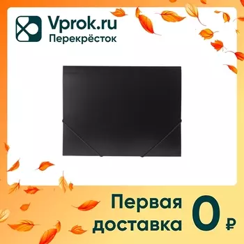 Папка Hatber Standart на резинке черная А4с доставкой!