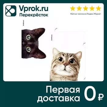 Папка-уголок ErichKrause Hiding Cats пластиковая A4 в ассортименте