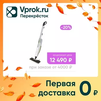 Пароочиститель Karcher KST 2 Upright. Доставим до двери!