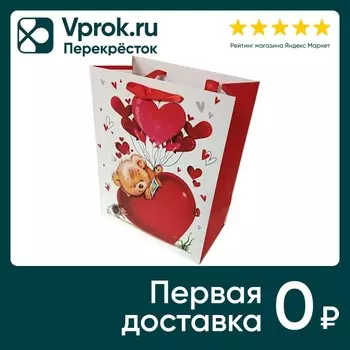Подарочный пакет Veld Co 17.8*22.9*9.8см в ассортименте