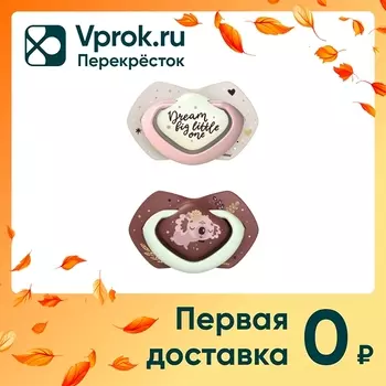Пустышка Canpol Babies Sleepy Koala силиконовая симметричная розовая 18+ месяцев 2шт