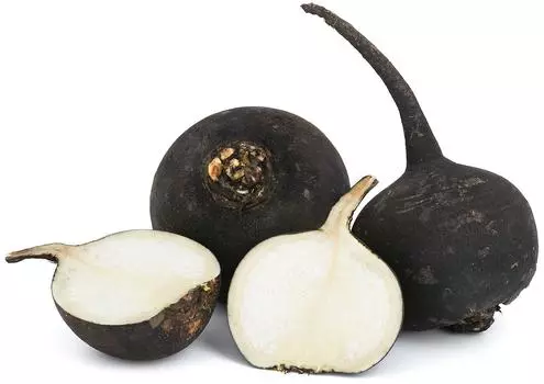 Редька черная 0.4-0.7кг