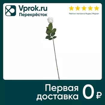 Роза белая 64см - Vprok.ru Перекрёсток
