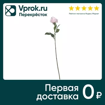 Роза розовая 64см - Vprok.ru Перекрёсток