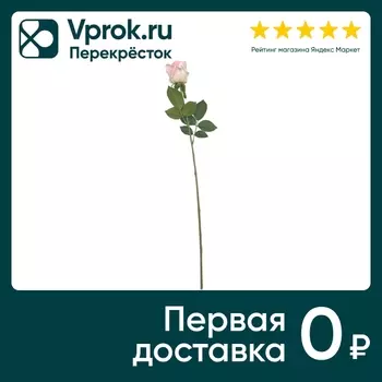 Роза светло-розовая 64см - Vprok.ru Перекрёсток