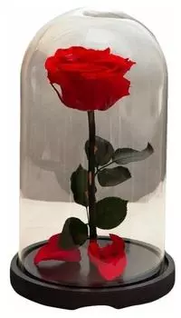 Роза в колбе