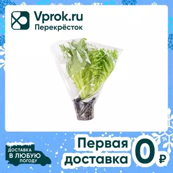 Салат Фриллис 1шт - Vprok.ru Перекрёсток