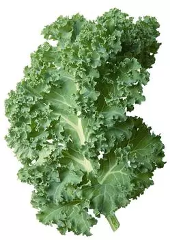 Салат Кейл листовой зеленый 125г упаковка