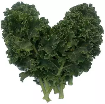 Салат Superfood Кудрявый Кейл 190г. Доставим до двери!