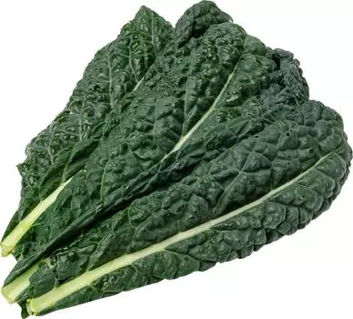 Салат Суперфуд Фарм Тосканский Кейл 190гс доставкой!