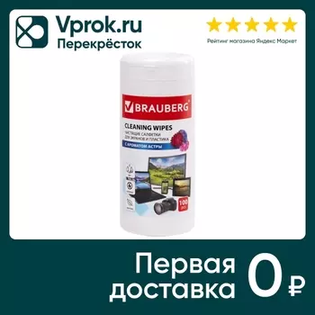 Салфетки влажные Brauberg для экранов всех типов и пластика с ароматом астра 100шт