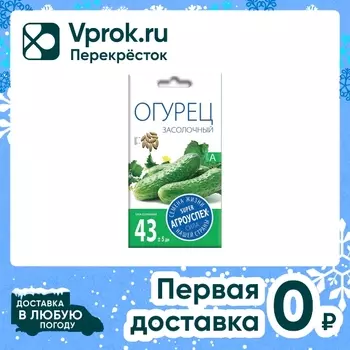 Семена Агроуспех Огурец Засолочный 0.3гс доставкой!