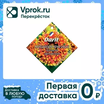 Семена Darit Гайлардия красивая Лоллипап двухцветная 0.1г