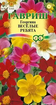 Семена Гавриш Георгина Веселые Ребята 0.3гс доставкой!