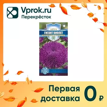 Семена Гавриш Русский богатырь Астра Гигант виолет 0.1г