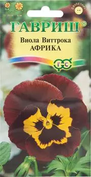 Семена Гавриш Виола Виттрока Африка 0.1г