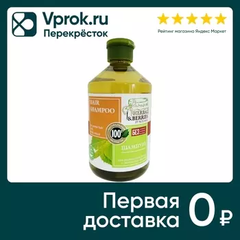 Шампунь Herbal&Berries by Modamo для нормальных волос с экстрактом березы 500мл