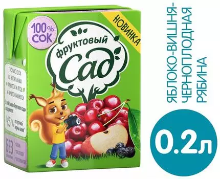Сок Фруктовый Сад Яблоко Вишня Черноплодная рябина 200мл