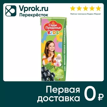 Сок Сады Придонья Kids Яблоко-Черная смородина с 5 месяцев 200мл