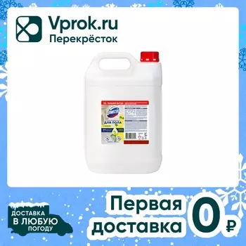 Средство чистящее Domestos Чистота и Блеск для мытья пола и других поверхностей Лимон и мята 5л