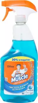 Средство для мытья стекол и зеркал Mr.Muscle Профессионал После дождя 750мл