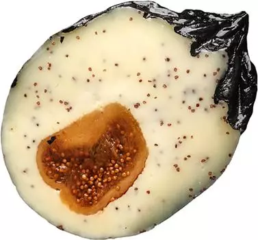 Сыр Султановская сыроварня полутвердый Инжирный 45% 1кг