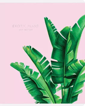 Тетрадь Greenwich Line Exotic flowers клетка А5 48л