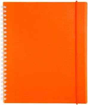 Тетрадь Hatber Diamond neon А5 клетка гребень 80л оранжевая