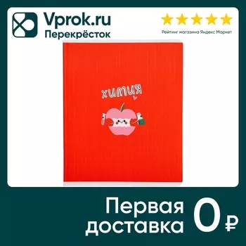 Тетрадь общая Be Different Juicy Химия 165*203мм клетка 48л