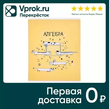 Тетрадь общая Be Smart Feed us Алгебра 165*203мм клетка 48л