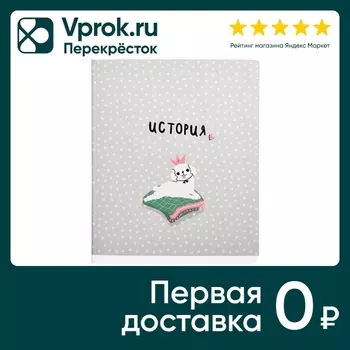 Тетрадь общая Be Smart Pets История 165*203мм клетка 48л
