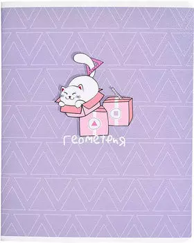 Тетрадь предметная Be Smart Mur-mur Геометрия клетка 16.5*20.3см 48л