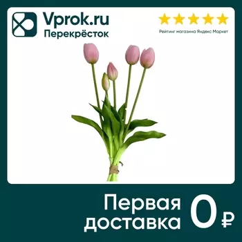 Тюльпаны 5 цветочков розовые 40см - Vprok.ru Перекрёсток